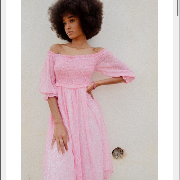 Molly Bracken Dresses & Skirts - LILI SIDONIO VEIL SMOCKED DRESS